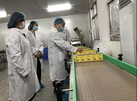 同心抗疫，，，，确保质量！永利集团公司振隆厂外车间接受广药集团生产监视包管小组事情督导