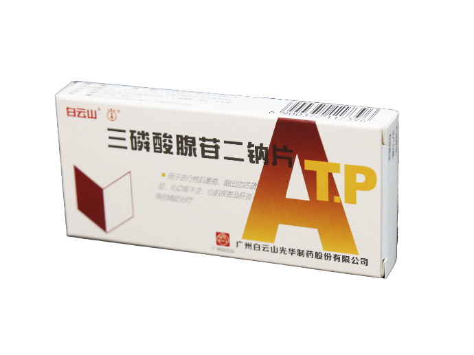 永利集团·yl(中国游)官方网站